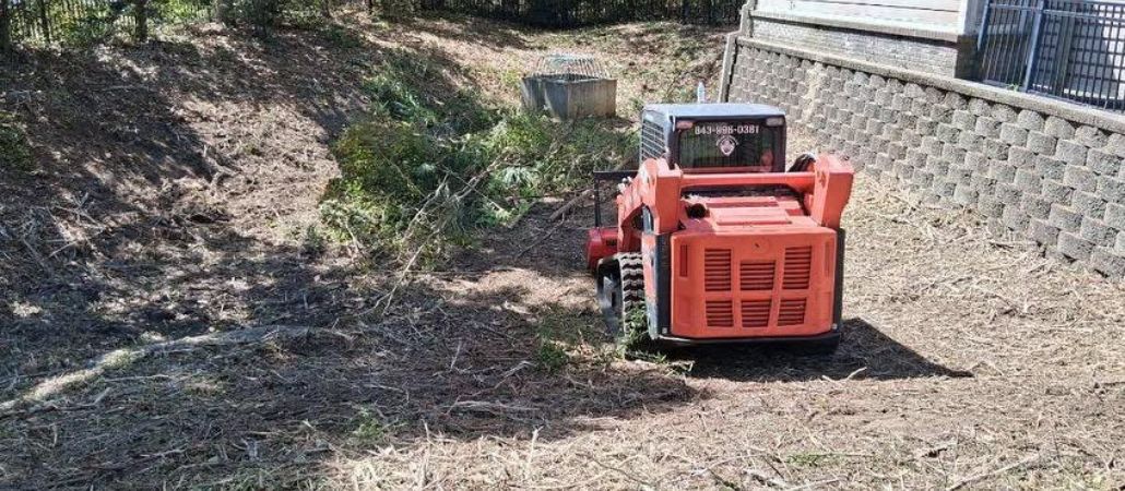 Tracked skid steer clearing brush on a Charleston property