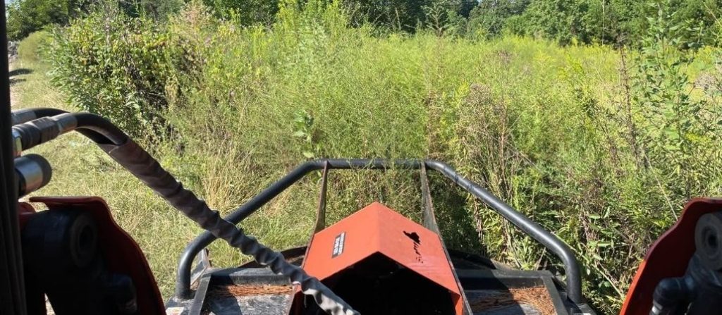 Brush clearing equipment for overgrown land in Charleston, SC