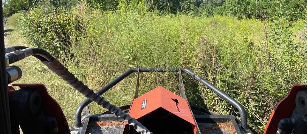 Brush clearing equipment for overgrown land in Charleston, SC